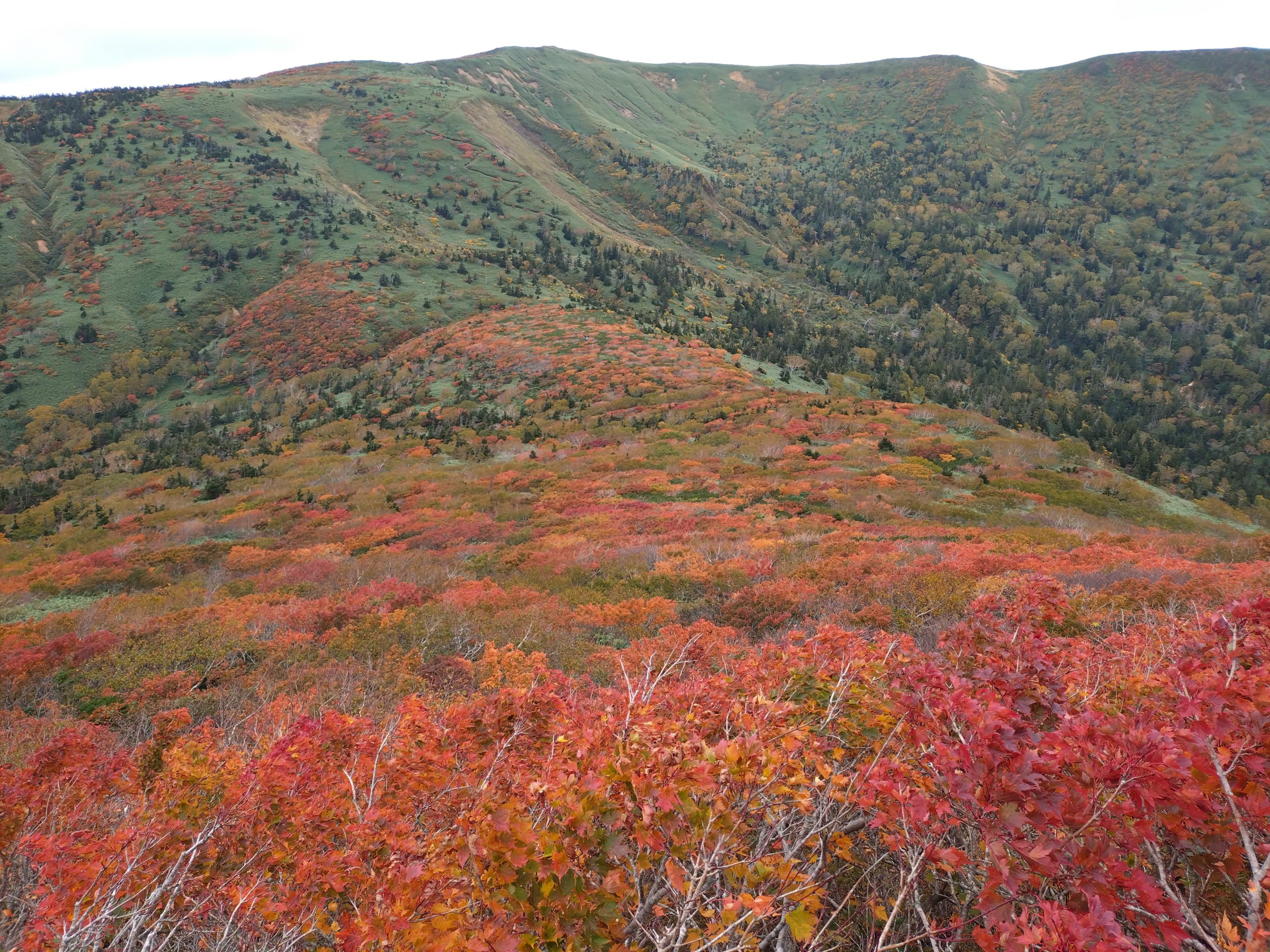 裏岩手縦走イメージ