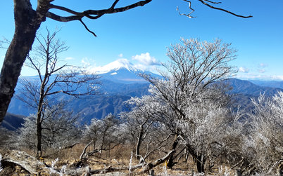 富士眺望ｲﾒｰｼﾞ